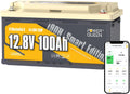 Power Queen Bluetooth Batterie Lithium 12 V 100 Ah Batterie LiFePO4 avec Protection Basse Temp, Sièges de Camping-Car DIN H8 L5 Taille Groupe 49